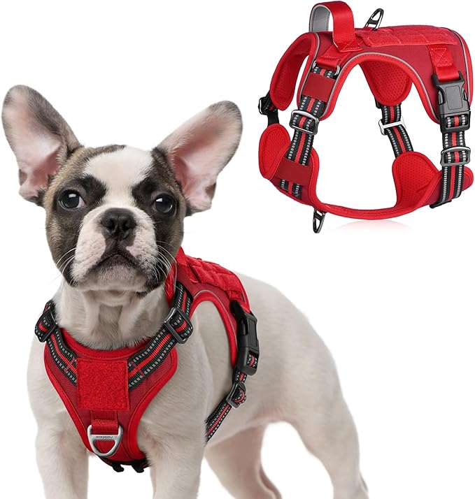 rabbitgoo Tactical Dog Harness for Small Dogs, No Pull Military Service Vest with Handle & Molle, Easy Control for Training Walking, Adjustable Reflective Straps, Red, S-Mewly Pet