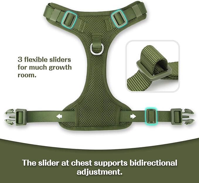 No Pull Dog Harness for Small Medium Large Dogs - Adjustable Two-Layer Mesh Dog Vest with Dual Clip, Escape Proof, Quick Release, Lightweight Breathable Mesh for Walking Hiking (Misty Green,L)-Mewly Pet