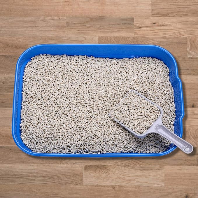 Kitty Litter Box Starter Kit - Small Cat Litter Pan Without Lid, Litter Mat, Scoop and Bowl for Kitten Within 3 Months (GreyScoop)-Mewly Pet