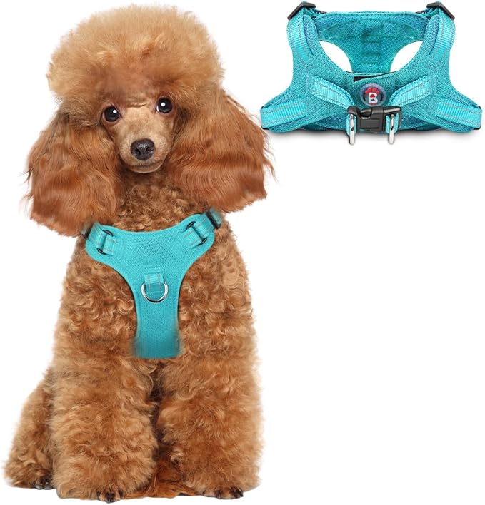 Dog Harness Step in Dog Vest Harness, Reflective Adjustable Puppy No Pull Harness Breathable Soft for Small and Medium Dogs Cats, Ocean Blue, XS-Mewly Pet