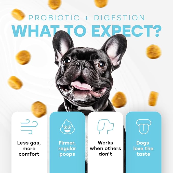 Probiotics for Dogs - PhD Endorsed Digestive Enzymes - Gut Health, Diarrhea & Bowel Support - Dog Treats with Turmeric, Omega-3 & Fiber - Immune Soft 140 Chews - Beef Flavor - Made in USA-Mewly Pet