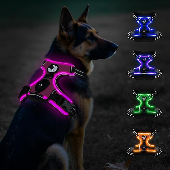 Taglory Light Up Dog Harness, Rechargeable No Pull Dog Vest with 3 Lightning Modes, Reflective Dog Harness with 2 Leash Clips & 4 Adjustable Slide Strips for Large Dogs, Hotpink-Hotpink, XL-Mewly Pet