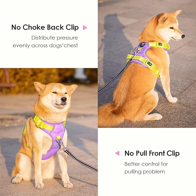 PHOEPET No Pull Dog Harness, Unique Colors Reflective Adjustable Dog Vest, with Soft Training Handle Metal Clips for Small Medium Large Dogs (Baby Purple Base & Yellow Straps,XL)-Mewly Pet