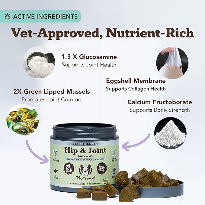 Natural Dog Company Vet Strength Hip & Joint Chews for Senior Dogs (90ct) Joint & Flexibility Support, Arthritis Relief for Senior Dogs, 1.3X Glucosamine, 2X Green Lipped Mussel & MSM for Dog Mobility-Mewly Pet