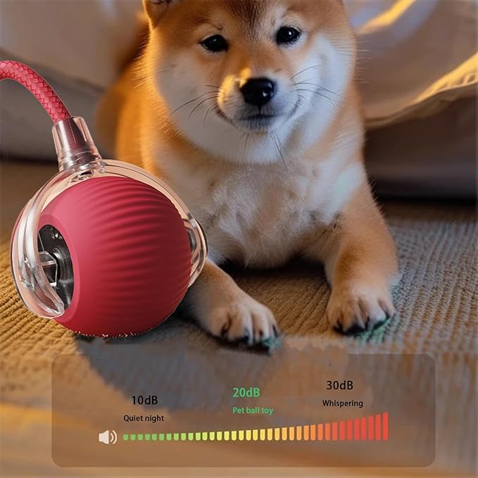 Interactive Cat Toy Ball for Indoor Cats - 3-Speed Smart Rolling Ball with Flashing Lights, USB Rechargeable Automatic Motion Kitten Toys for Bored Adult Cats & Playful Kittens-Mewly Pet