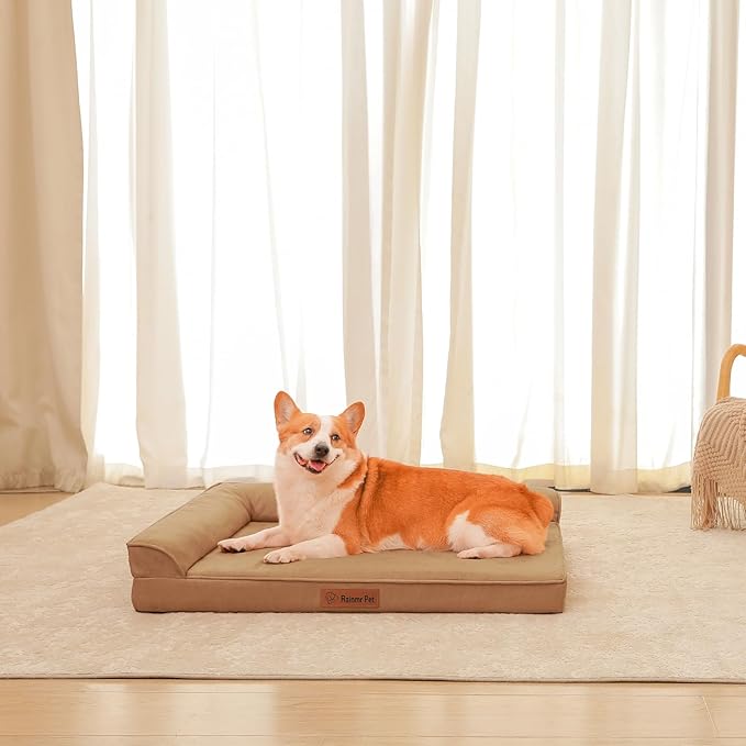 Chew Proof Dog Bed, 3" Memory Foam Dog Bed for Medium and Large Dogs, Removable and Washable Microsuede Cover, Waterproof Liner, Nonskid Bottom, 41x27 Inches XL Khaki-Mewly Pet
