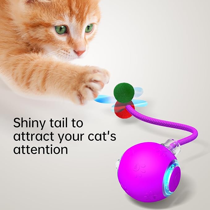 Interactive Cat Toys for Indoor Cats - Kitten Toy with Speedy Tail 2.0, Automatic Cat Toys for Bored Indoor Adult Cats, Motion-Activated, 2025 New Upgraded, USB Rechargeable (Purple)-Mewly Pet