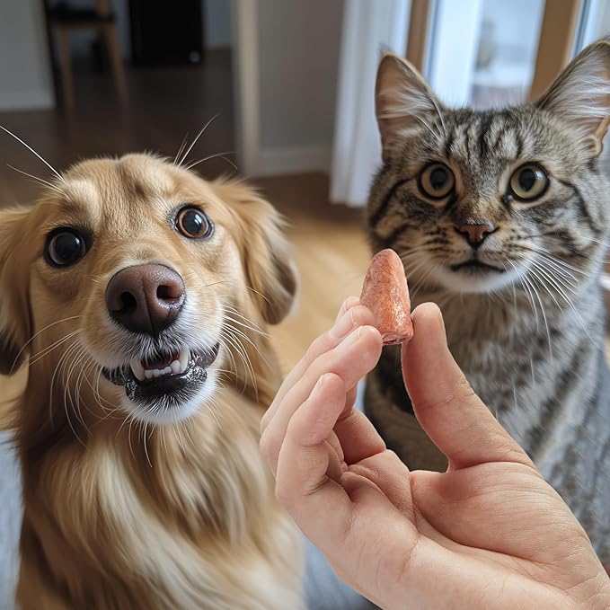 Jungle Calling Cat Treats & Dog Snacks, Freeze Dried Chicken Hearts Halves for Cats & Dogs, Single Ingredient Organ Meat, High Protein Pet Training Treats & Food Topper, 7.76 oz-Mewly Pet