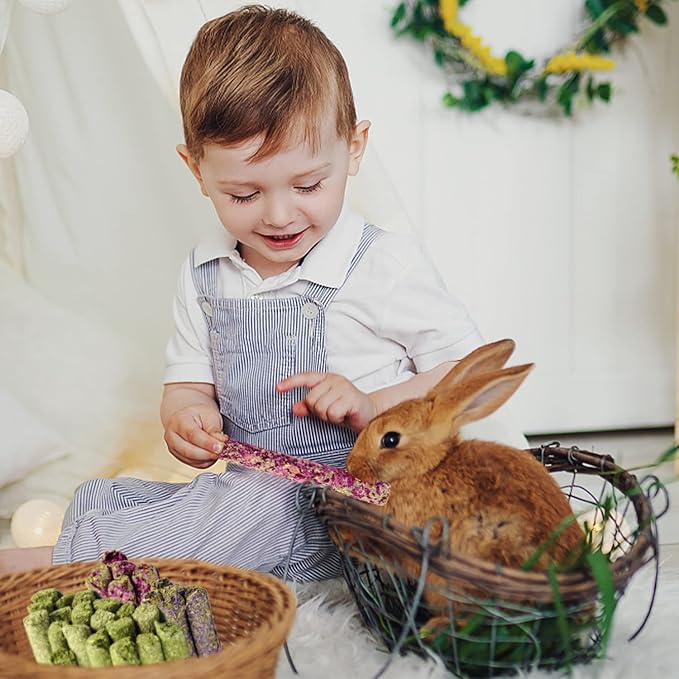 Sofier 32Pcs Timothy Hay Sticks 320g for Rabbit, Guinea Pig, Hamster - Natural Handmade Treats and Chews for Teeth - Chinchilla, Rat, Gerbil Toys-Mewly Pet