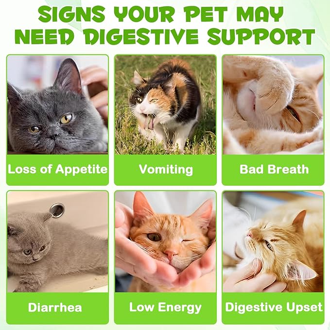 3 in 1 Probiotics for Cats, Cat Digestive Support,Daily Digestive Health Supplement with Multiple Strains of Bacteria Help with Diarrhea,Gas and Bloating, Cat Herbal Supplements- 60ml-Mewly Pet