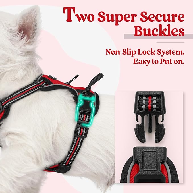 rabbitgoo Dog Harness No Pull with 2 Leash Clips, Adjustable Soft Padded, Reflective Oxford No Choke Pet Vest with Easy Control Handle for Puppy, Red,XS-Mewly Pet