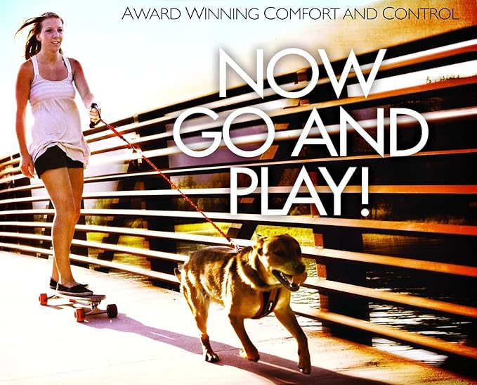 EzyDog CLICK – Dog Seat Belt for Car, Dog Harness Adjustable Seatbelt Attachment – Heavy Duty Nylon Seat Belt Webbing (17.5in - 26in)-Mewly Pet