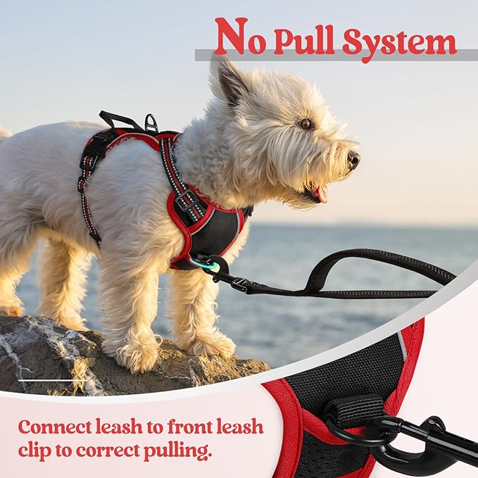 rabbitgoo Dog Harness No Pull with 2 Leash Clips, Adjustable Soft Padded, Reflective Oxford No Choke Pet Vest with Easy Control Handle for Puppy, Black & Red, XS-Mewly Pet