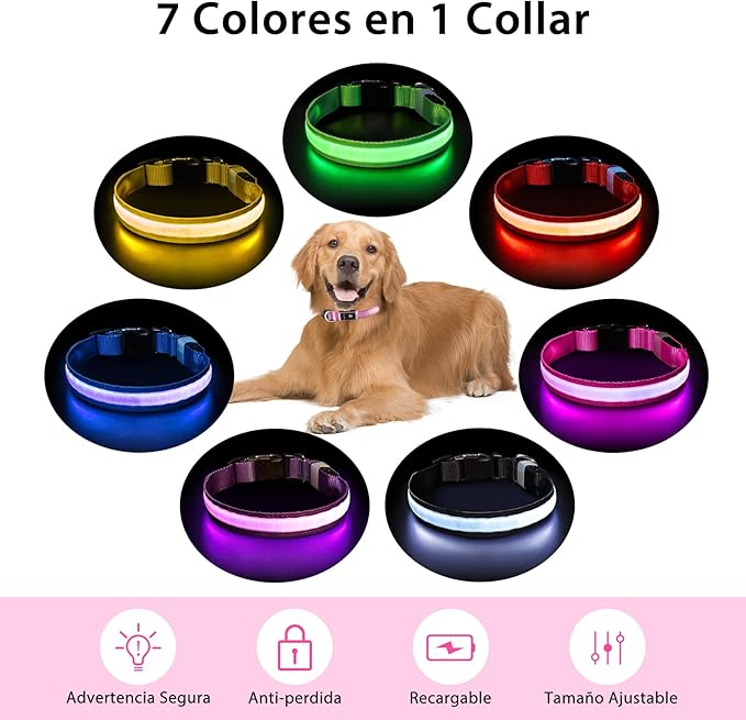 PcEoTllar Light up Dog Collar for Night Walking - LED Dog Collar Light Rechargeable Color Changing, Glow in The Dark Dog Collars Waterproof Glowing Dog Collars for Large Small Medium Dogs-Mewly Pet