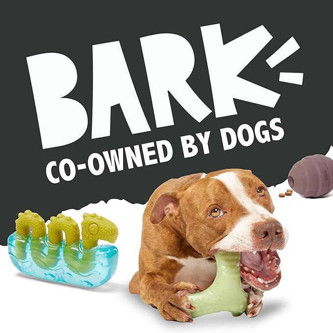 Barkbox Super Chewer Tough Dog Chew Toys for Aggressive Chewers, Plush 2 Toys in 1 (Potato - Small)-Mewly Pet