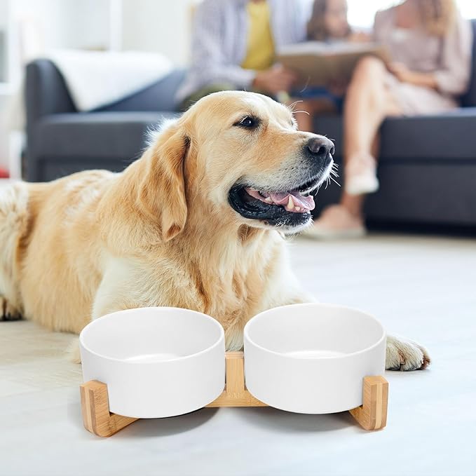SPUNKYJUNKY Ceramic Dog and Cat Bowl Set with Wooden Stand, Modern Cute Weighted Food Water Bowl Set for Medium to Large Size Dogs (42 OZ, 2 × White)-Mewly Pet