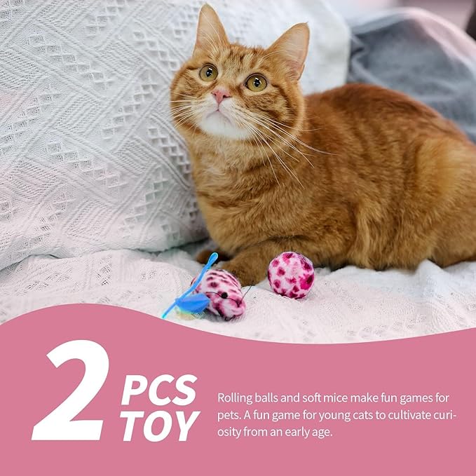 PAWISE Cat Litter Box Set, Small Kitten Starter Kit, Includes Litter Box, Litter Scoop, Double Dish Feeding Bowl, Cat Mouse Toy, Kitty Ball Toy, Pink-Mewly Pet