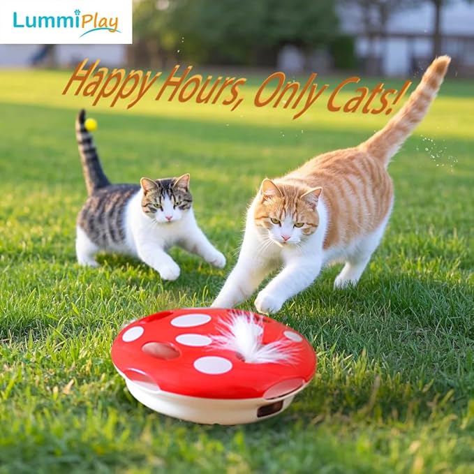 Interactive Cat Toy Automatic Mushroom - Whack-a-Mole Game with Rotating Feathers for Indoor Cats, Hide & Seek Rechargeable Toys Boredom Relief Adult Kittens, Safe Chew Proof Design (Red)-Mewly Pet