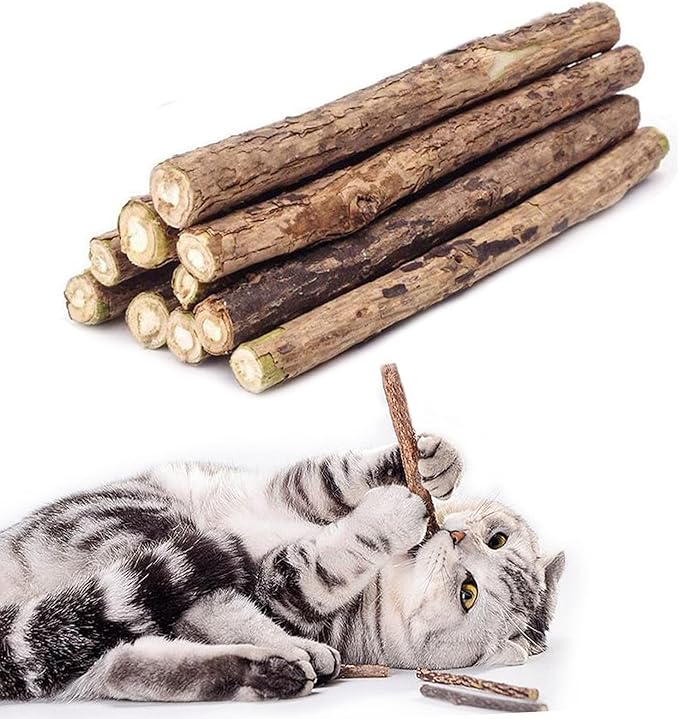 10 PCS Cat Catnip Sticks, Natural Matatabi Silvervine Sticks - Cleaning Teeth Molar Tools Kitten Chew Toy Natural Catnip Cats Toy-Mewly Pet