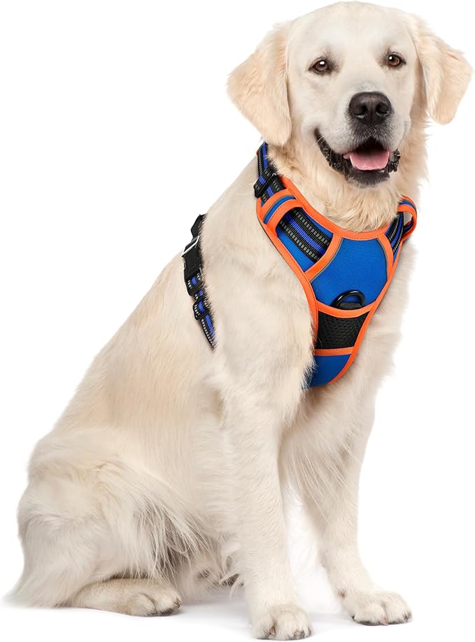 rabbitgoo Dog Harness No Pull with 2 Leash Clips, Adjustable Soft Padded, Reflective Oxford No Choke Pet Vest with Easy Control Handle for Large Dogs, Blue & Orange, XL-Mewly Pet