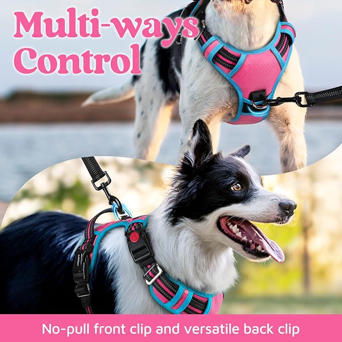 rabbitgoo Dog Harness for Large Dogs, No Pull Pet Vest with 3 Buckles, Adjustable Soft Padded Pet Harness with Easy Control Handle and Reflective Strips, Rose Pink & Blue, L-Mewly Pet