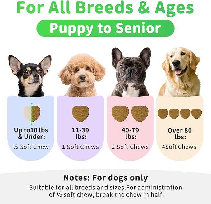 Premium Dog Digestive Enzymes and Probiotics with Pumpkin for Gut Health Support - Daily Chews for Digestion & Gas Relief - Chicken Flavor-90 Count-Mewly Pet