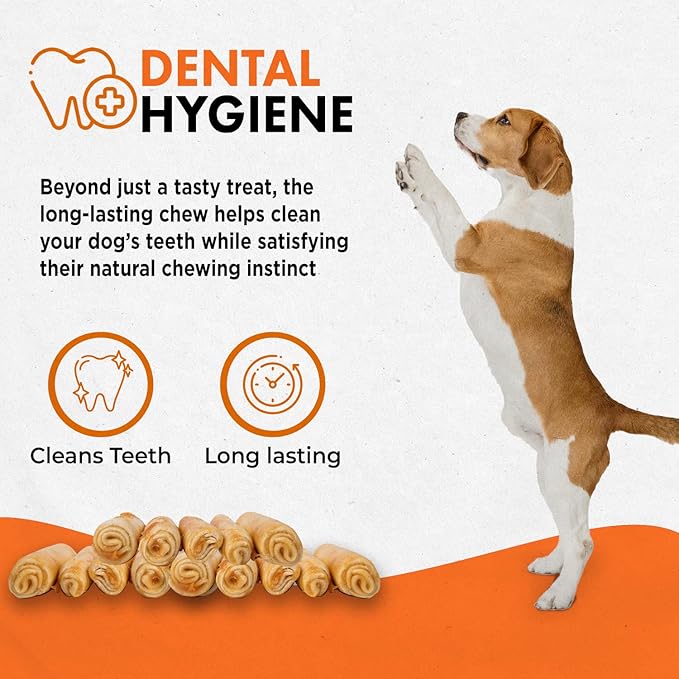 Canine Naturals Beef Chew - Rawhide Free Dog Treats - Made with Real Beef - Poultry Free Recipe - All-Natural and Easily Digestible - 5 Pack of 7 Inch Large Rolls for Dogs 50-75lb-Mewly Pet