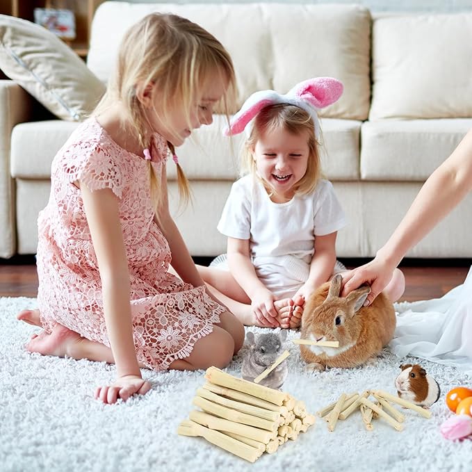 2.7lb Sweet Bamboo Sticks for Rabbits Chew Sticks Toys Guinea Pig Hamster Chinchilla Molar Treats Snacks, Natural Teeth Grinding Toys-Mewly Pet