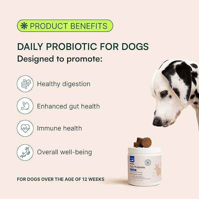 Wuffes Daily Probiotic for Dogs - Supports Digestive Health, Gut Balance, and Immune System - with Prebiotics, Marshmallow Root, and Pumpkin Powder (120 Chews (Pack of 2))-Mewly Pet