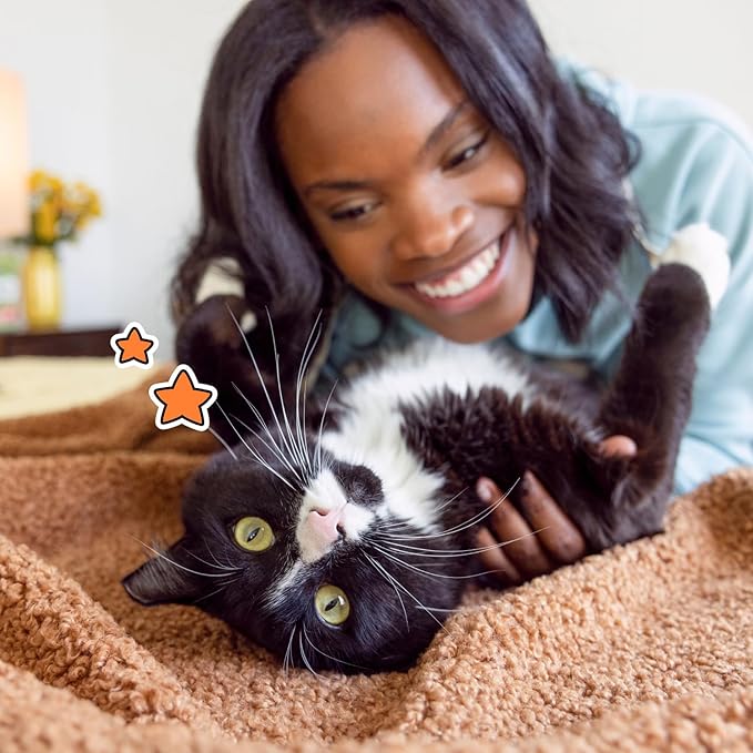 Temptations Classic Crunchy and Soft Cat Treats, Seafood Medley Flavor, 16 oz. Tub-Mewly Pet