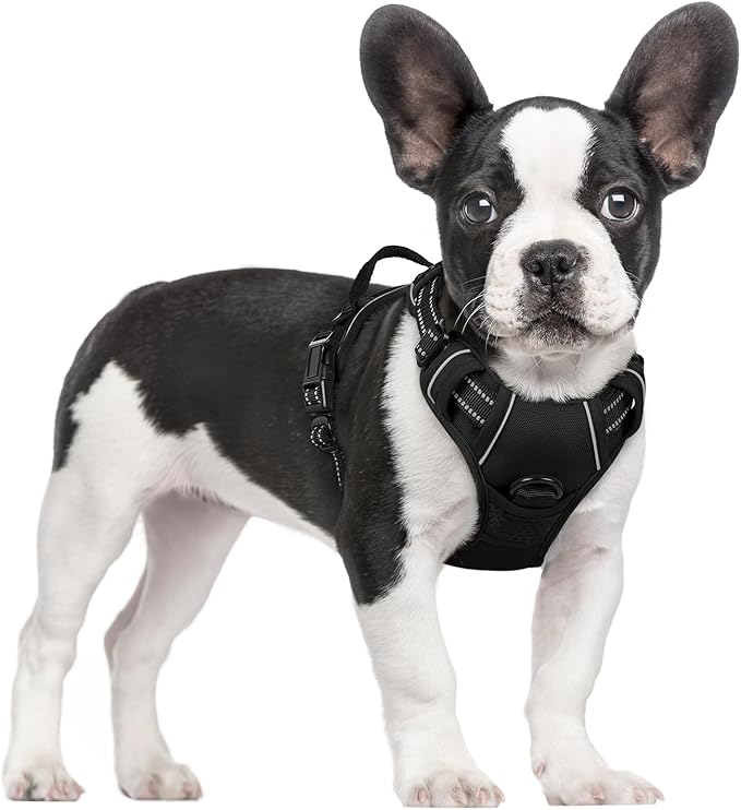 rabbitgoo Dog Harness No Pull with 2 Leash Clips, Adjustable Soft Padded, Reflective Oxford No Choke Pet Vest with Easy Control Handle for Small Dogs, Black, S-Mewly Pet