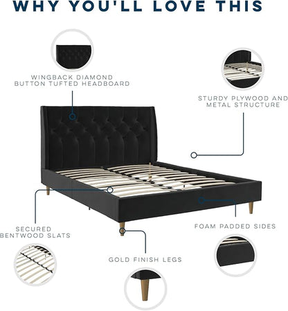 Novogratz The Her Majesty Upholstered Bed, Queen, Black Velvet