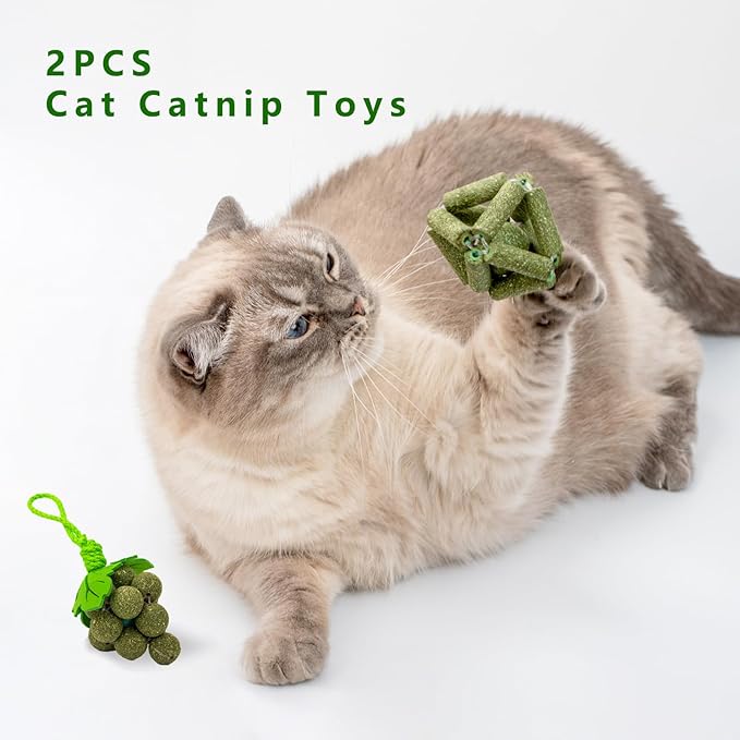 Cat Catnip Toys,2Pcs Catnip Ball for Cats,Toys for Indoor Cats,Cat Chew Exercise Toy for All Breeds and Species,Enhances Oral and Dental Health-Mewly Pet