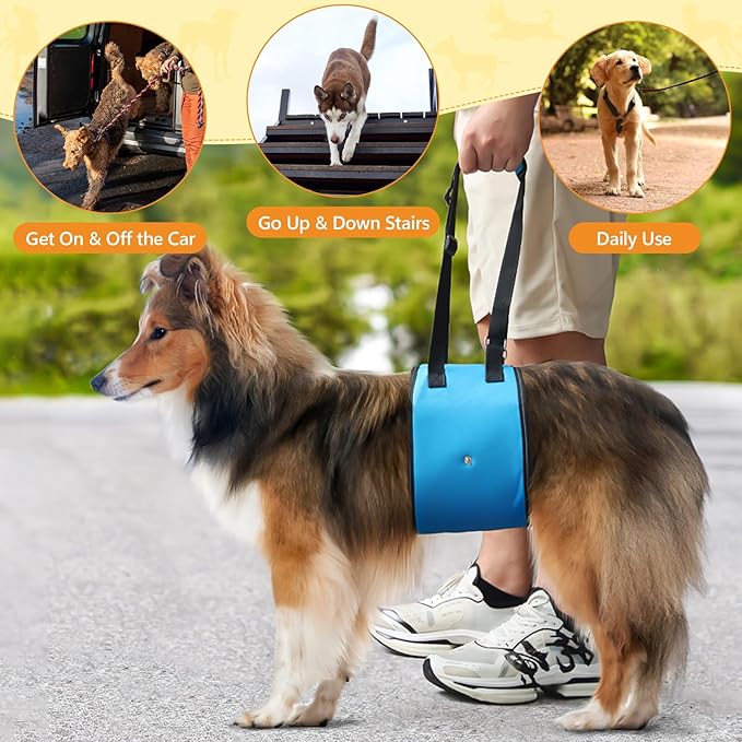 Dog Lift Harness Dog Sling for Large Dogs, Portable Dog Carrier Sling for Back Legs, Ajustable Hip Support Harness for Weak Rear Leg, Assist Senior Disabled Joint Injuried and After ACL-Mewly Pet