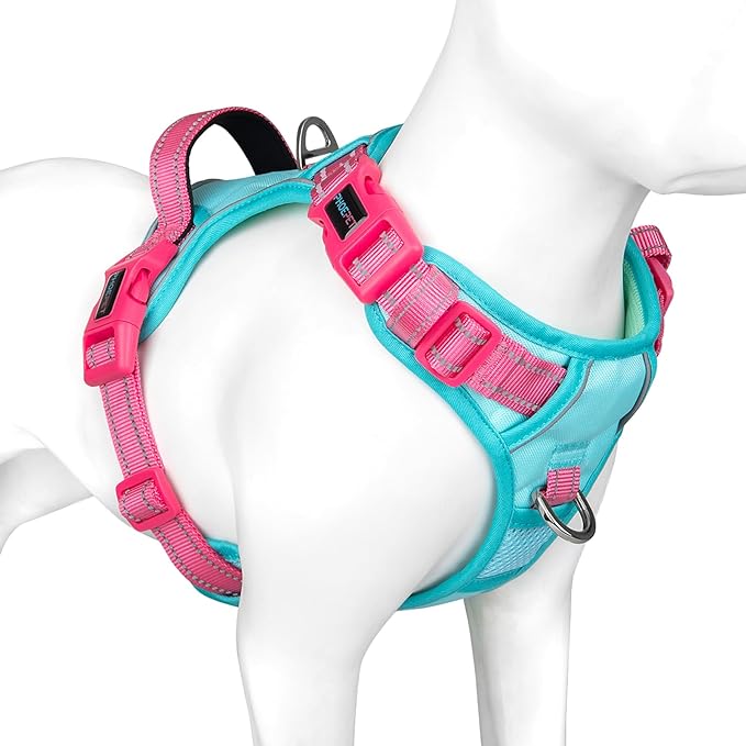 PHOEPET No Pull Dog Harness, Unique Colors Reflective Adjustable Dog Vest, with Soft Training Handle Metal Clips for Small Medium Large Dogs (Mint Green Base & Pink Straps,M)-Mewly Pet