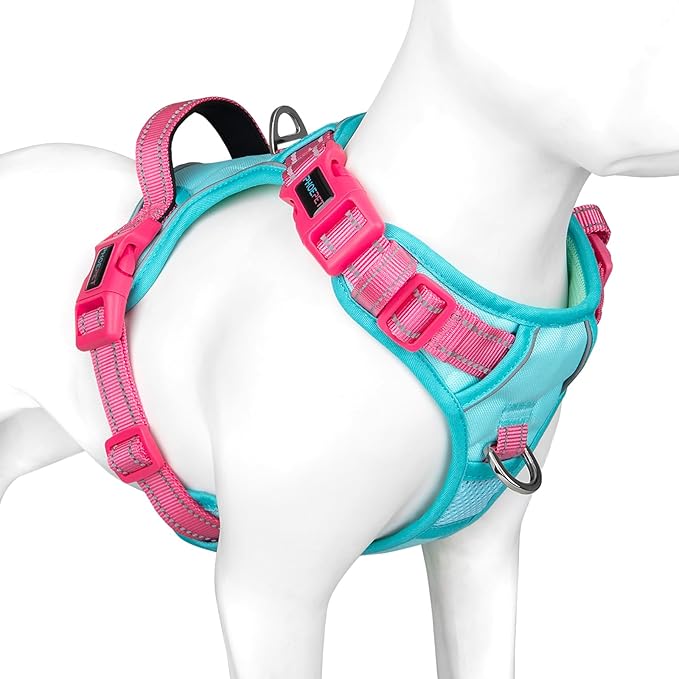 PHOEPET No Pull Dog Harness, Unique Colors Reflective Adjustable Dog Vest, with Soft Training Handle Metal Clips for Small Medium Large Dogs (Mint Green Base & Pink Straps,XL)-Mewly Pet