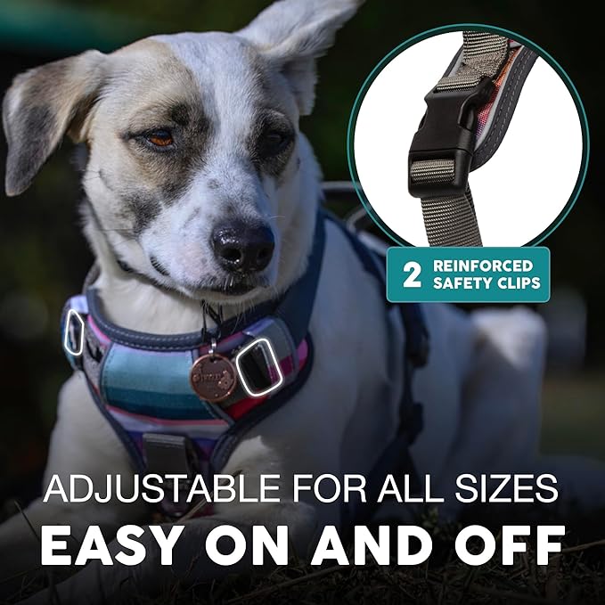 Embark Adventure Dog Harness, Reflective Trim XL Dog Harness for Extra Large Dogs No Pull - Military Grade Nylon, 2 Leash Clips & Gel Lined Handle. Soft & Padded Puppy Dog Harnesses for Any Breed-Mewly Pet