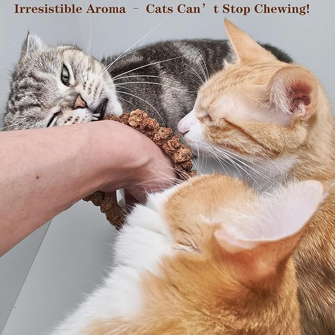 Natural Silvervine Gall Fruit Cat-Attracting Bracelet,Interactive Cat Toy for Relaxing and Teething, Catnip Alternative (Small Gall Fruit)-Mewly Pet