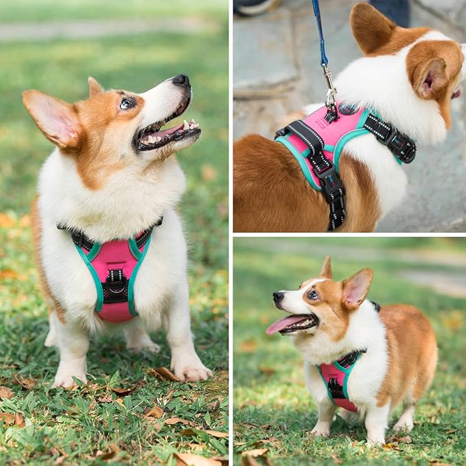 PHOEPET 2019 Upgraded No Pull Dog Harness, Reflective Adjustable Vest, with a Training Handle + 2 Metal Leash Hooks+ 3 Snap Buckles +4 Slide Buckles(XS, Pink)-Mewly Pet