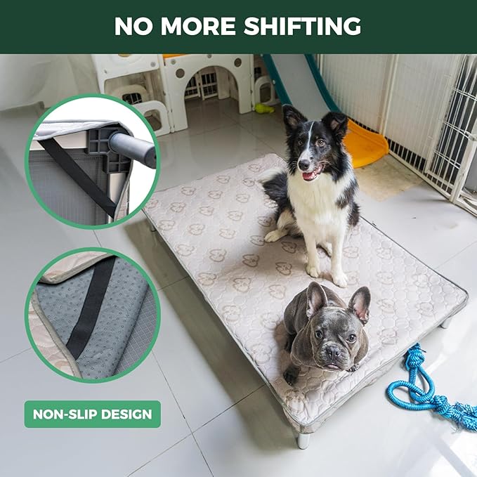 FXW TitanNest Chew-Proof Elevated Dog Bed, Raised Cot for Indoor/Outdoor/Camping Use, Durable & Washable Padded Pet Bed with Exclusive Reuseable Cover for Small Dogs, 36.0" L x 24.0" W x 4.5" H, Gray-Mewly Pet