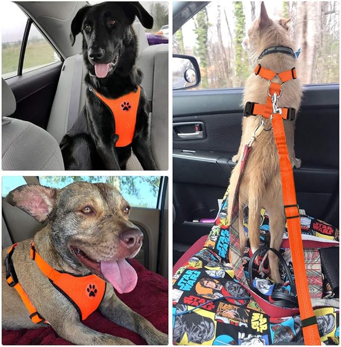 Lukovee Dog Seat Belt - Adjustable Dog Car Harness for Large, Medium & Small Dogs, Soft Padded & Breathable Mesh Dog Seatbelt with Vehicle Connector Strap (Orange, XX-Small)-Mewly Pet
