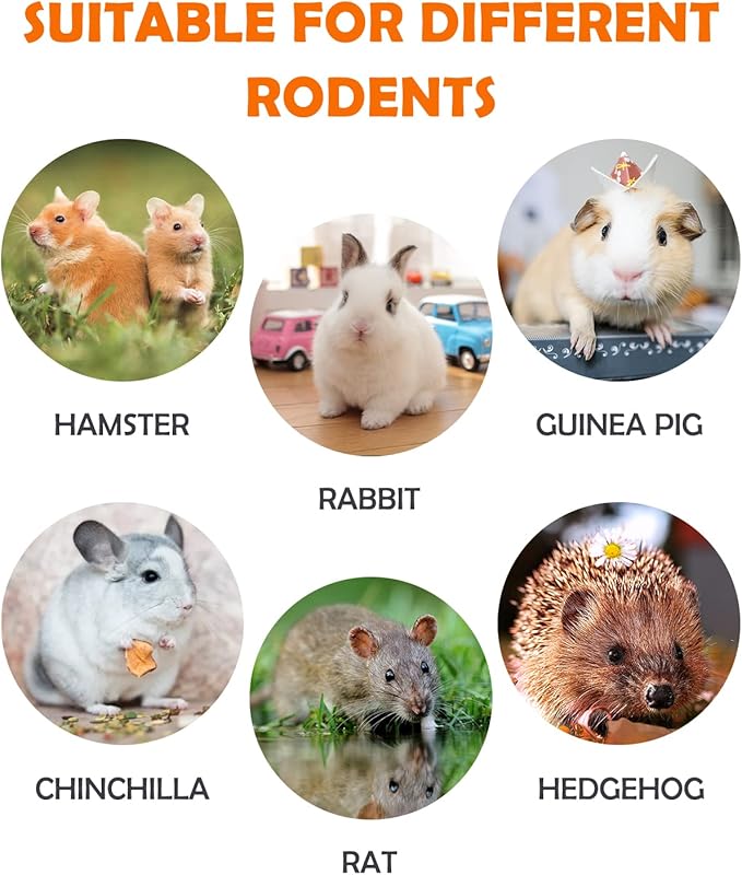 Sofier 12Pcs Timothy Hay Treats - Natural Chews for Teeth - Handmade Rabbit, Chinchilla, Gerbil, Rat, Hamster Toys - Bunny & Guinea Pig Toys-Mewly Pet