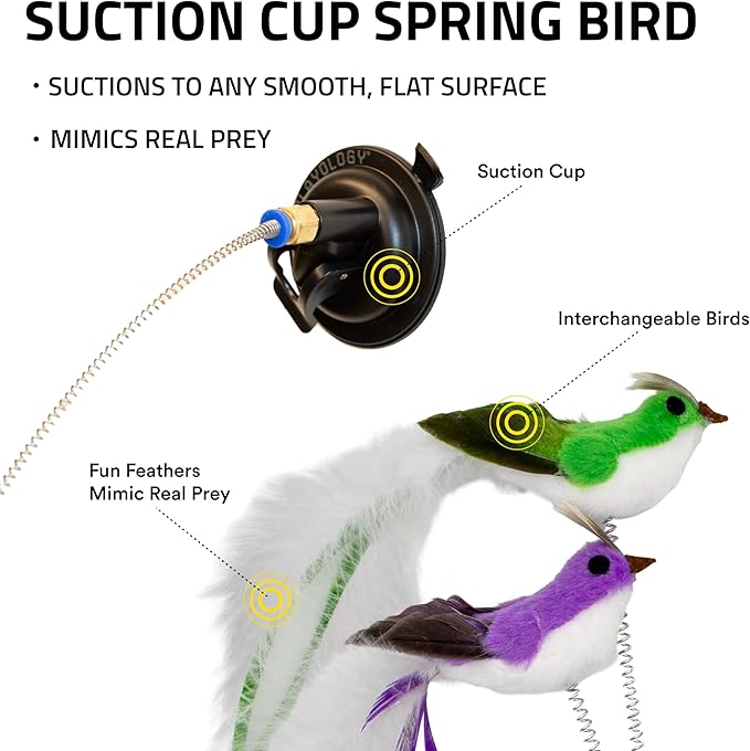 Playology Cat Toy Suction Cup Spring Bird Set | Interactive Toy with Lifelike Feather Birds & 2 Spring Replacements| Secure Suction Cup with Unpredictable Movement | Perfect for Active Indoor Cats-Mewly Pet