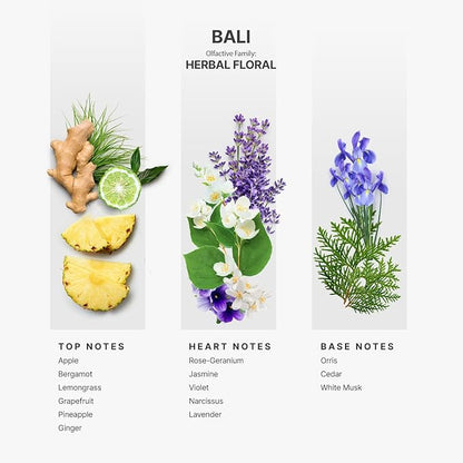AromaPlan Hotel Scents Bali 5 Fl Oz (148ml), Home Luxury Aroma & Hotel Fragrance Diffuser Oil- Hotel Diffuser Oil for Aromatherapy- USA Made, Bigger Bottle, Bolder Aroma & Longer Lasting