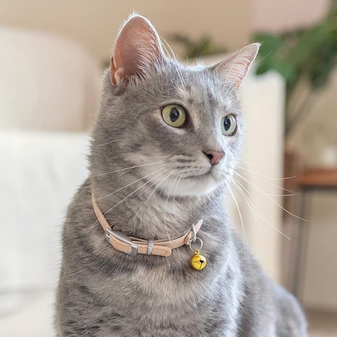 CollarDirect Leather Cat Collar with Bell - Kitten Small and Big Cat Collar for Boy Cats, Girl Cats with Safety Elastic Strap (Neck Fit 6"-7", Beige)-Mewly Pet