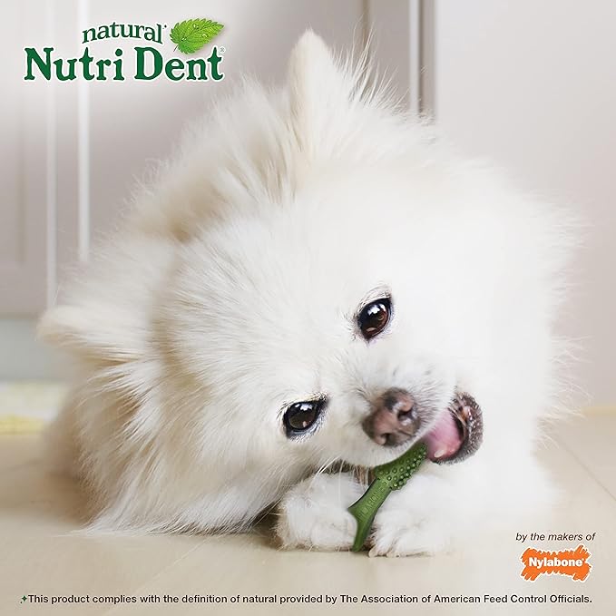 Nylabone Nutri Dent Dog Dental Chews - Natural Dog Teeth Cleaning & Breath Freshener - Dental Treats for Dogs - Fresh Breath Flavor, Mini (32 Count)-Mewly Pet