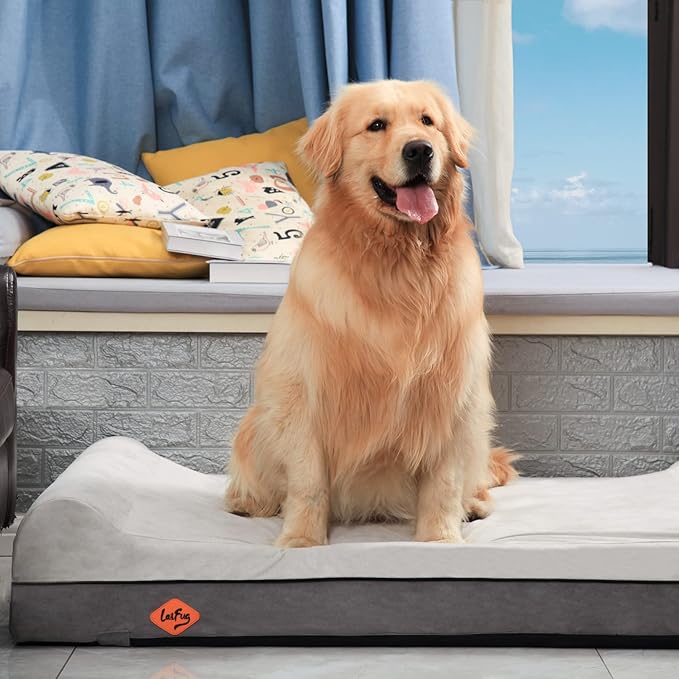 Laifug Orthopedic Memory Foam Dog Bed Extra Large Dog Bed with Pillow and Durable Water Proof Liner & Removable Washable Cover & Smart Design(Dark Grey)-Mewly Pet