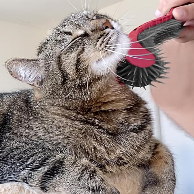 (Pink) Designed for Comfort, Created for Results. This innovative grooming brush features multi contoured bristles that gently adapt to your cats body for a stress-free brushing experience.-Mewly Pet