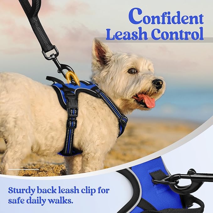 rabbitgoo Dog Harness No Pull with 2 Leash Clips, Adjustable Soft Padded, Reflective Oxford No Choke Pet Vest with Easy Control Handle for Puppy, Dazzling Blue,XS-Mewly Pet