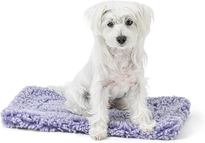 Stoutwool Indestructible Dog Bed - Fluffy Chew Proof Dog Crate Pad - Tough Kennel Pad for Aggressive Chewers - Ideal for Extra Small Breeds & Fits 22-Inch Crate - 21"x12", Jacaranda-Mewly Pet